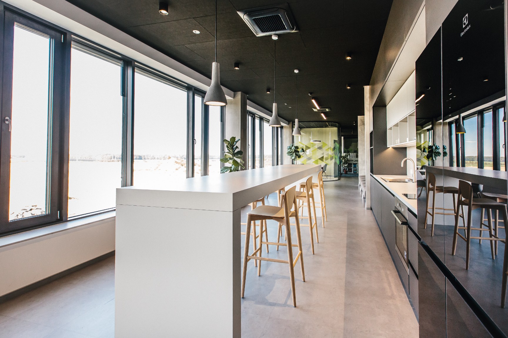 Colognia Press — bar