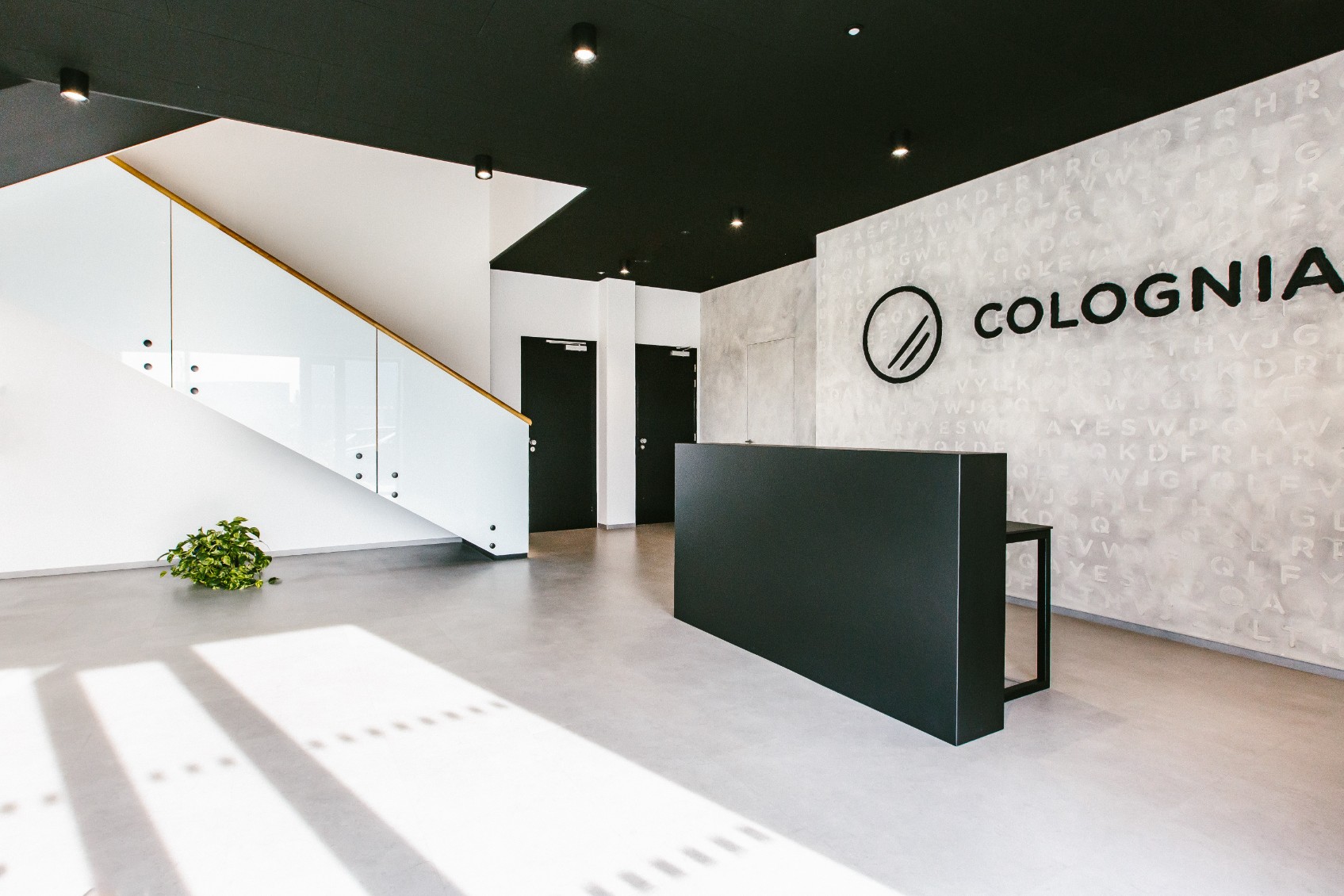 Colognia Press — recepce